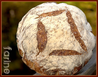 Tartine Light Rye - baked in a covered cast iron dutch oven